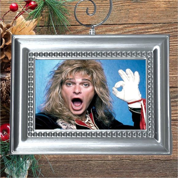 David Lee Roth Van Halen Rock‎ Band Christmas Tree Ornament - Picture 1 of 3